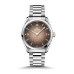 Omega Seamaster Railmaster 235.10.38.20.13.001 - (1/1)